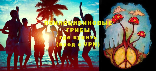 дживик Осинники